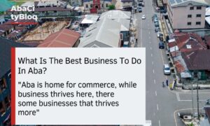 What Is The Best Business To Do In Aba? Check Out These 5 Best Business Ideas