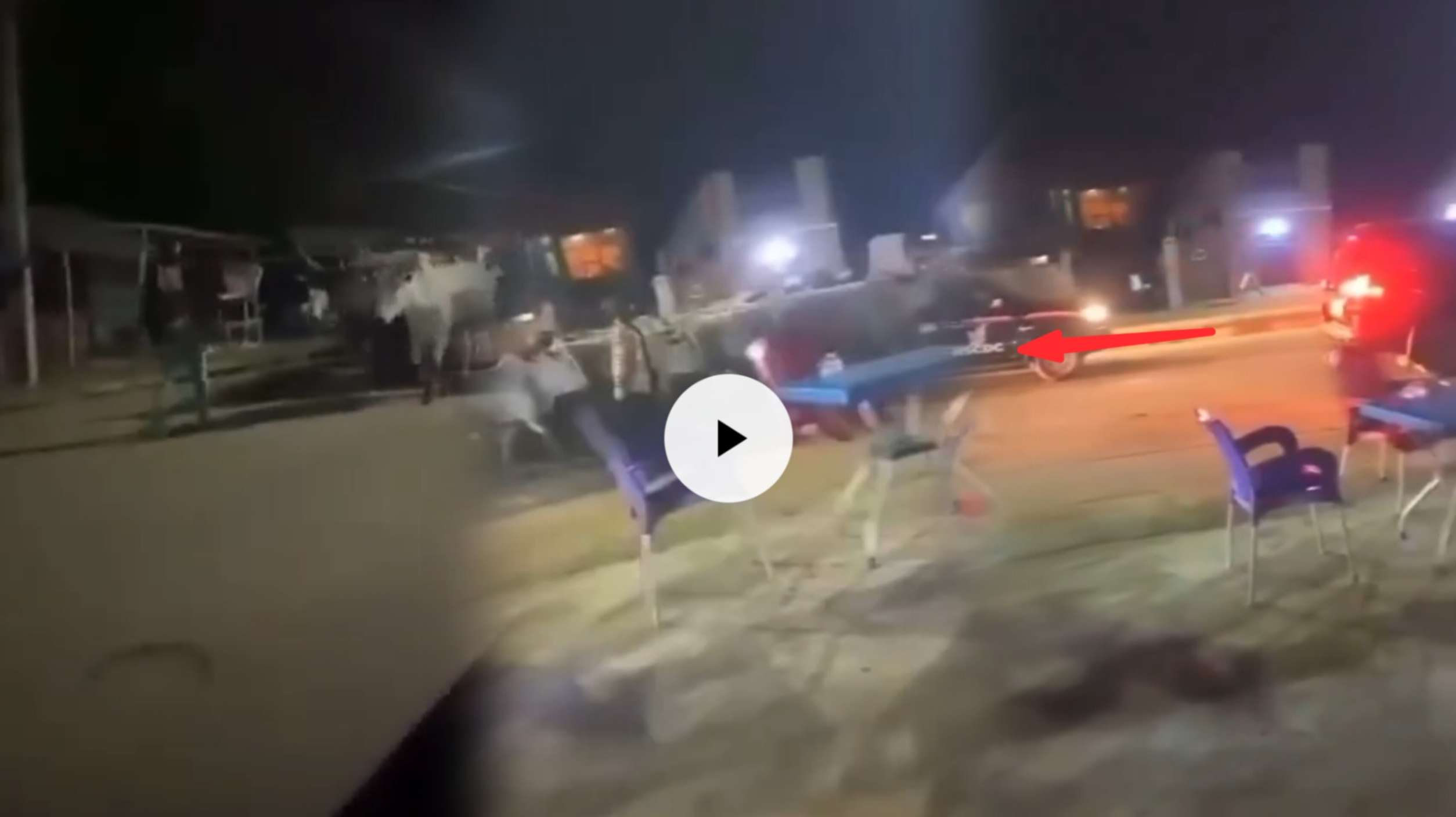 VIDEO: Man records moment Benue State govt Car escorts Cows in Makurdi