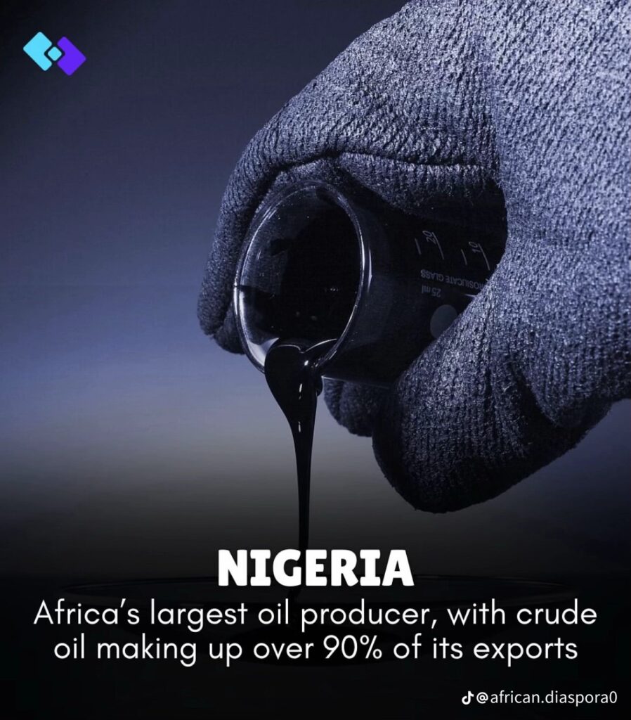 8 African Countries With Richest Resources You Should Know