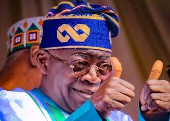 No Politician In Nigeria Has The Capacity To Defeat Tinubu In 2027 - Presidency