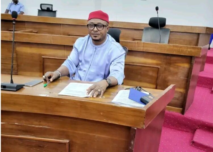 Abia Lawmaker Raises Alarm Over Recent Gunmen Killings in Isuikwuato Constituency